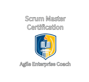 agile coach